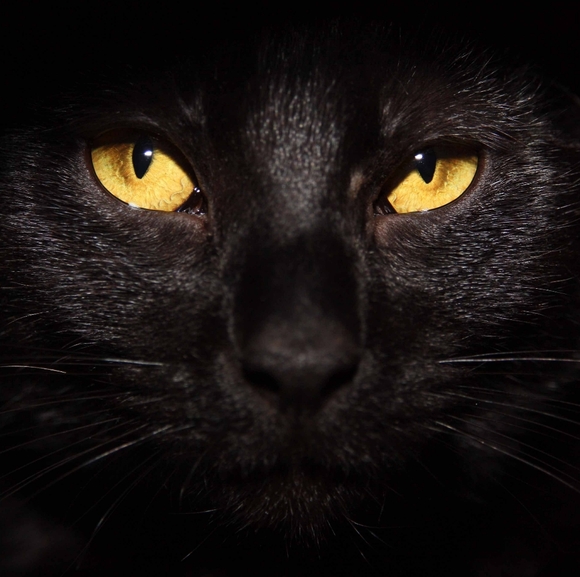 SALE‼️🥰🥾Beautiful Suede Booties!🎈 - Picture 12 of 12